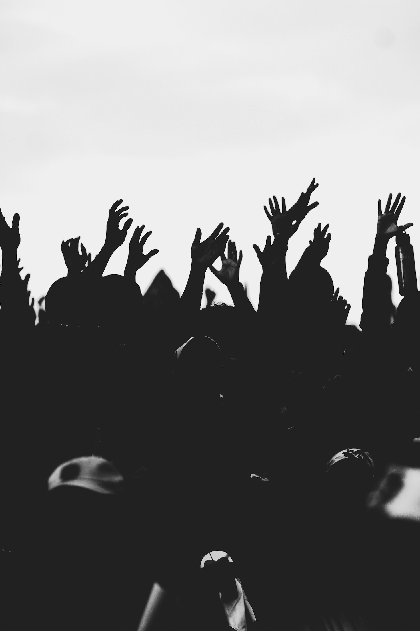 Pride and Rhythm: The Intersection of Music and Identity